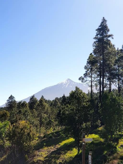 Hikers Haven Courtyard Apartment Tamaimo Tenerife El Molledo Zewnętrze zdjęcie
