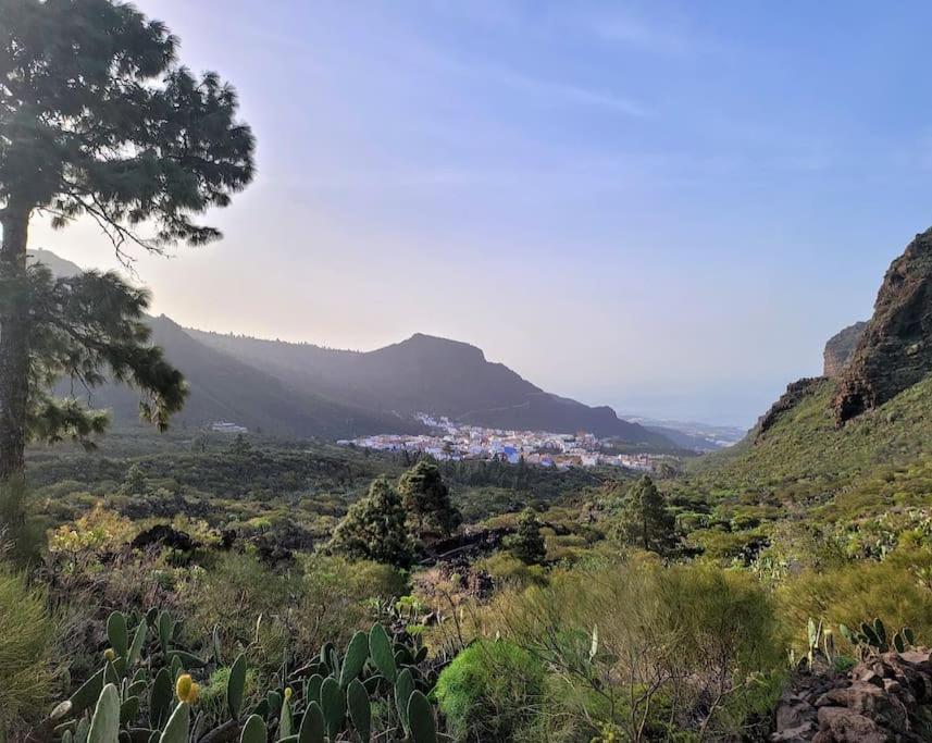 Hikers Haven Courtyard Apartment Tamaimo Tenerife El Molledo Zewnętrze zdjęcie